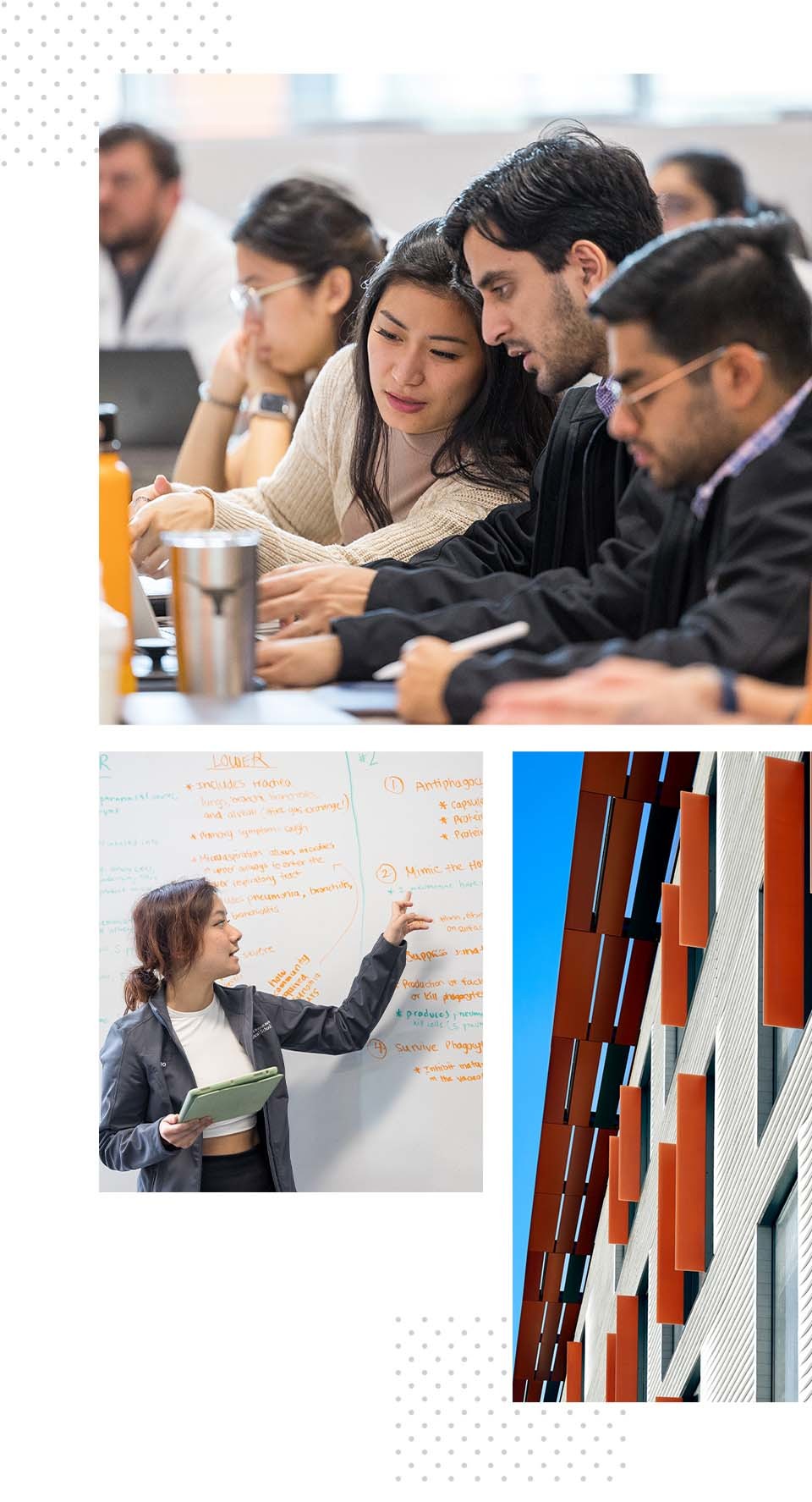 Three images collaged together. In one, first-year students sitting next to each other in an auditorium discuss what's on a laptop in front of them. In another, a first year students points to notes on a whiteboard. In another, an exterior view of Health Transformation Building windows.