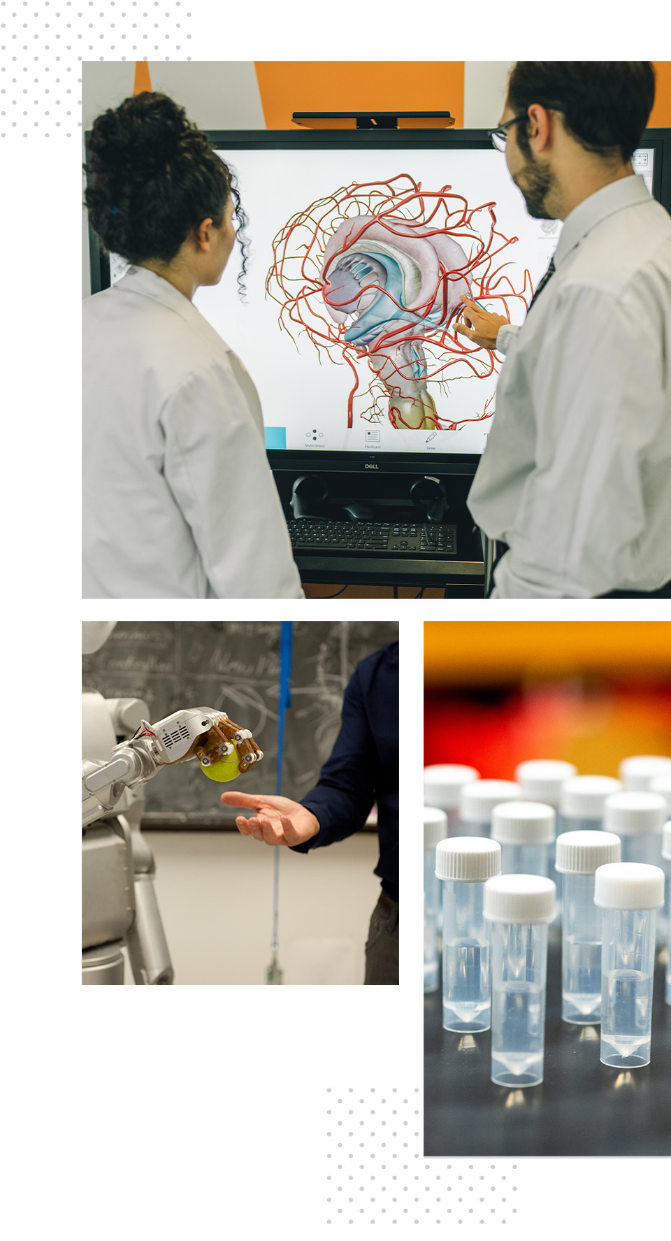 A collage of three different images: In one, two individuals look at a monitor with medical imaging on it. In another, a robot holds a tennis ball over a person's hand that anticipates receiving it. In another, a close-up of vials in a laboratory.