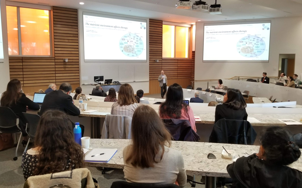 A group of people listening to a lecture in an auditorium.