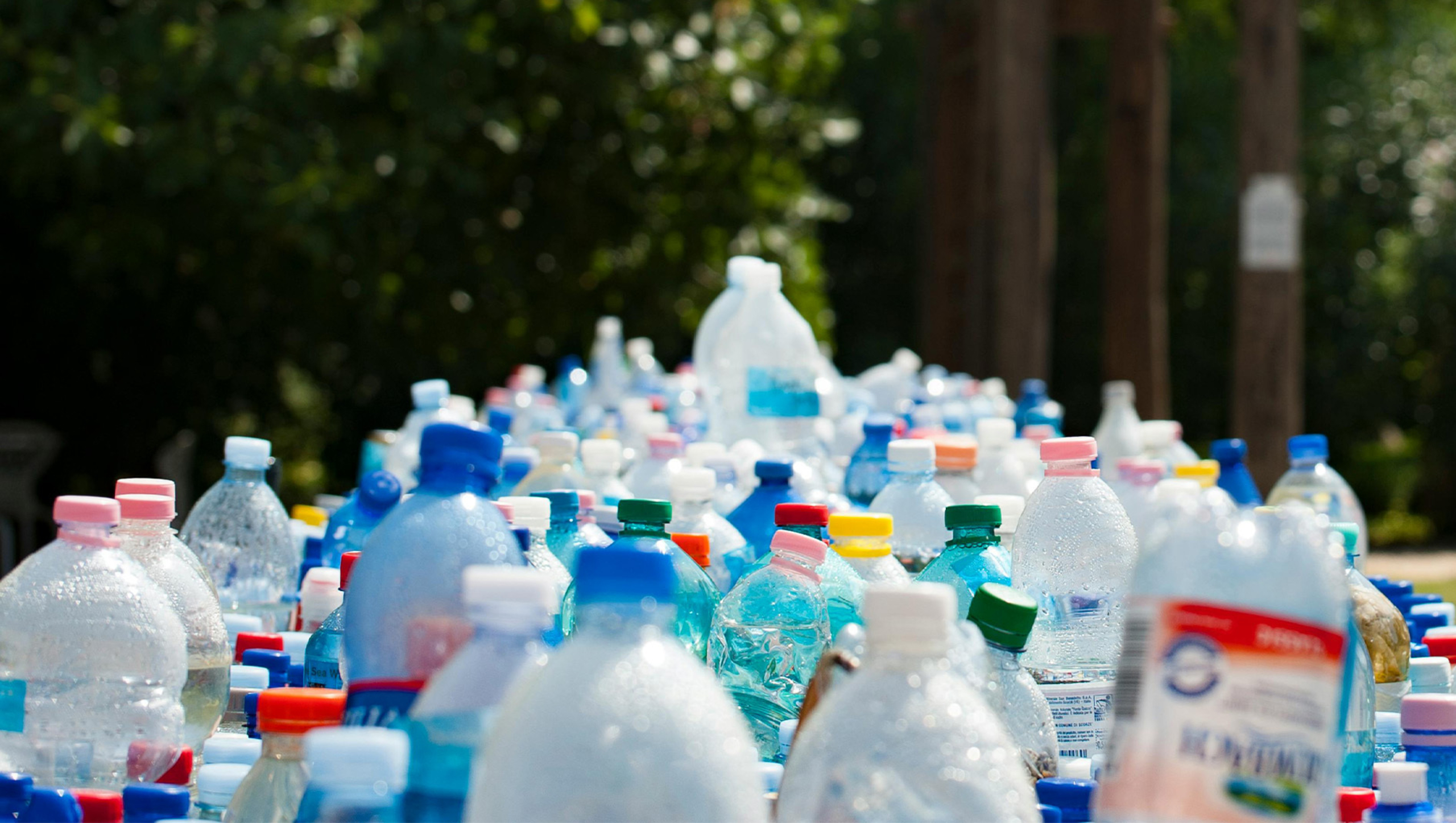 Many different types of empty plastic bottles gathered together.