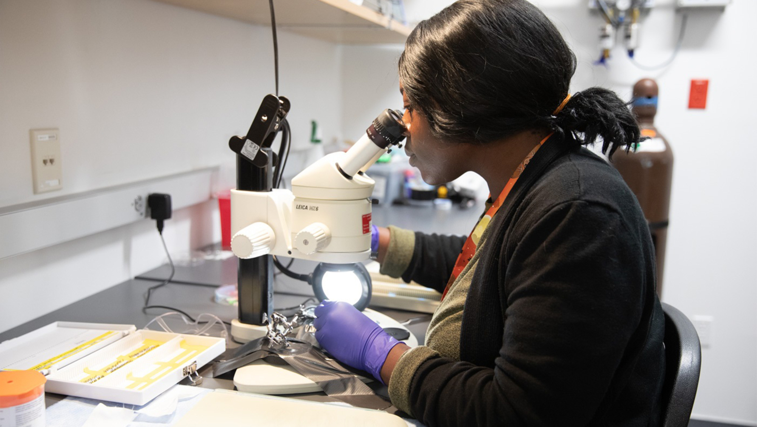 Individual looking through a microscope.