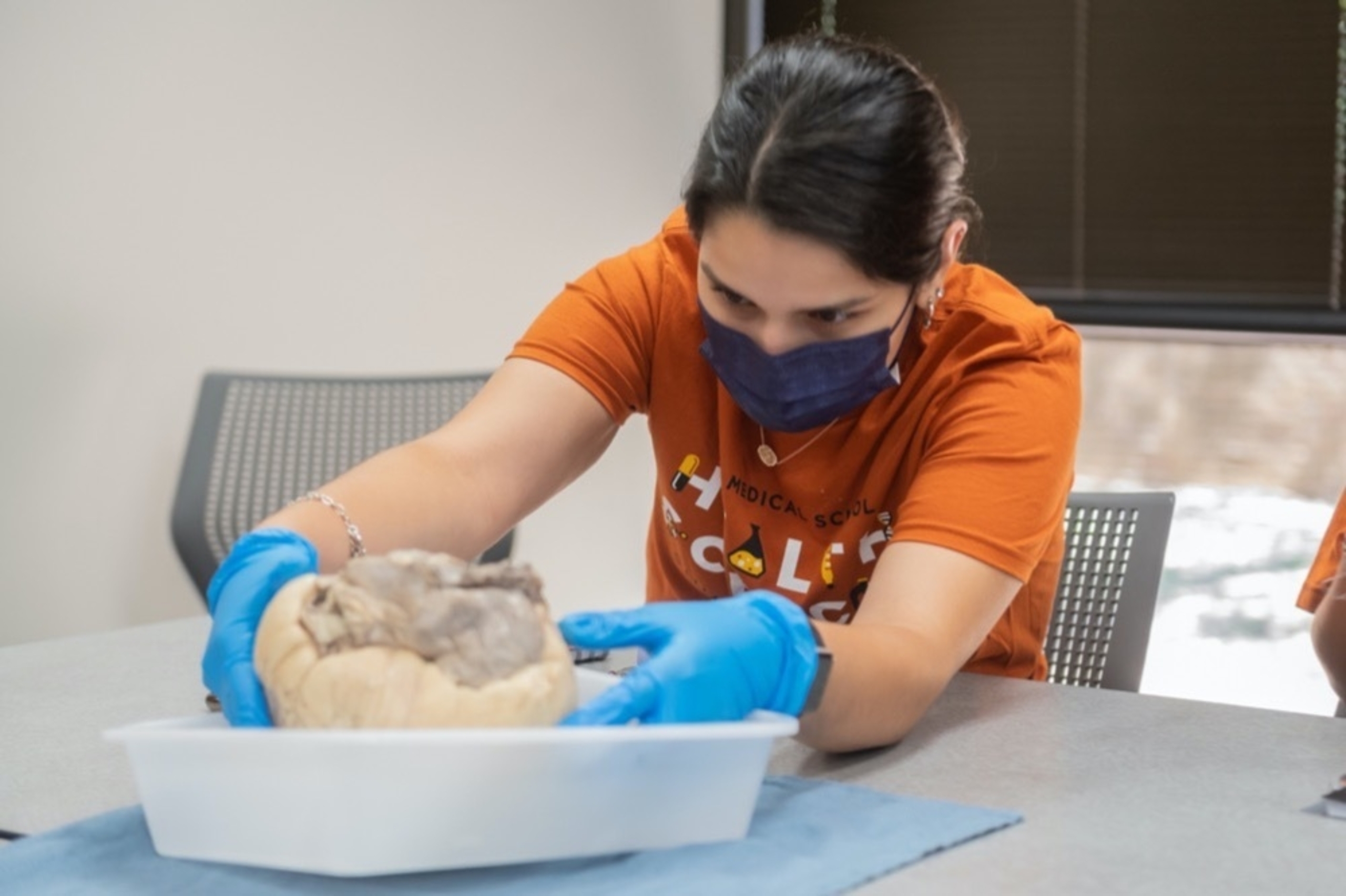 A summer camps participant grabs an anatomical model of a brain from a tray.