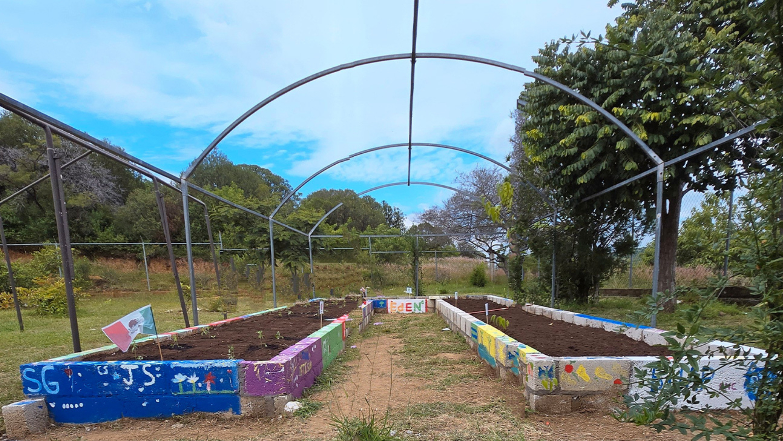 A stone garden made by locals near Puebla, Mexico, as part of a larger Division of Global Health activity.