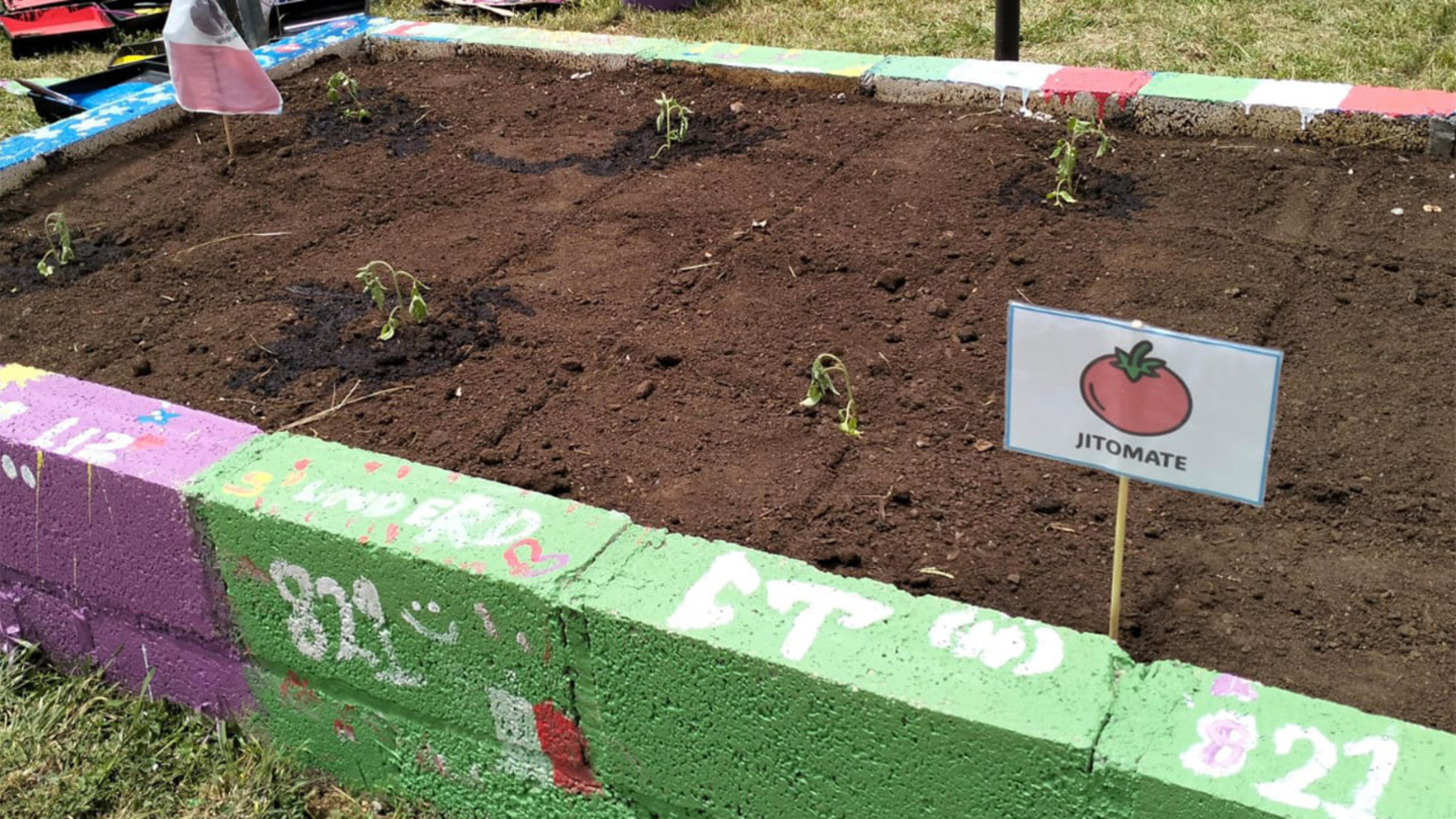 A small squared off garden with fresh soil and a sign that signal tomatoes are planted.