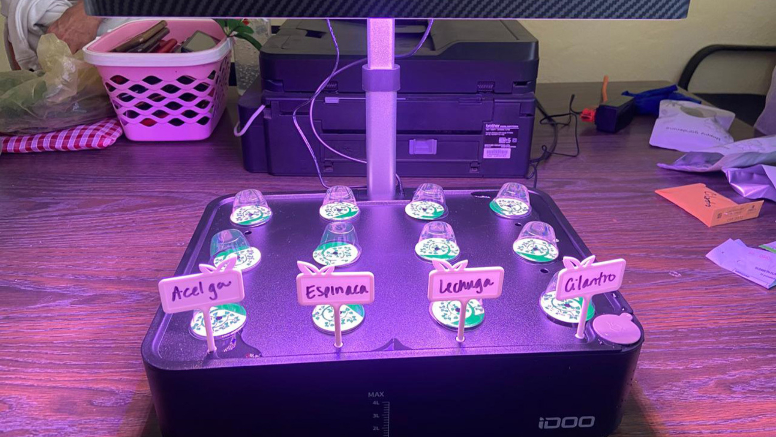 A small hydroponics tray with different plant types.