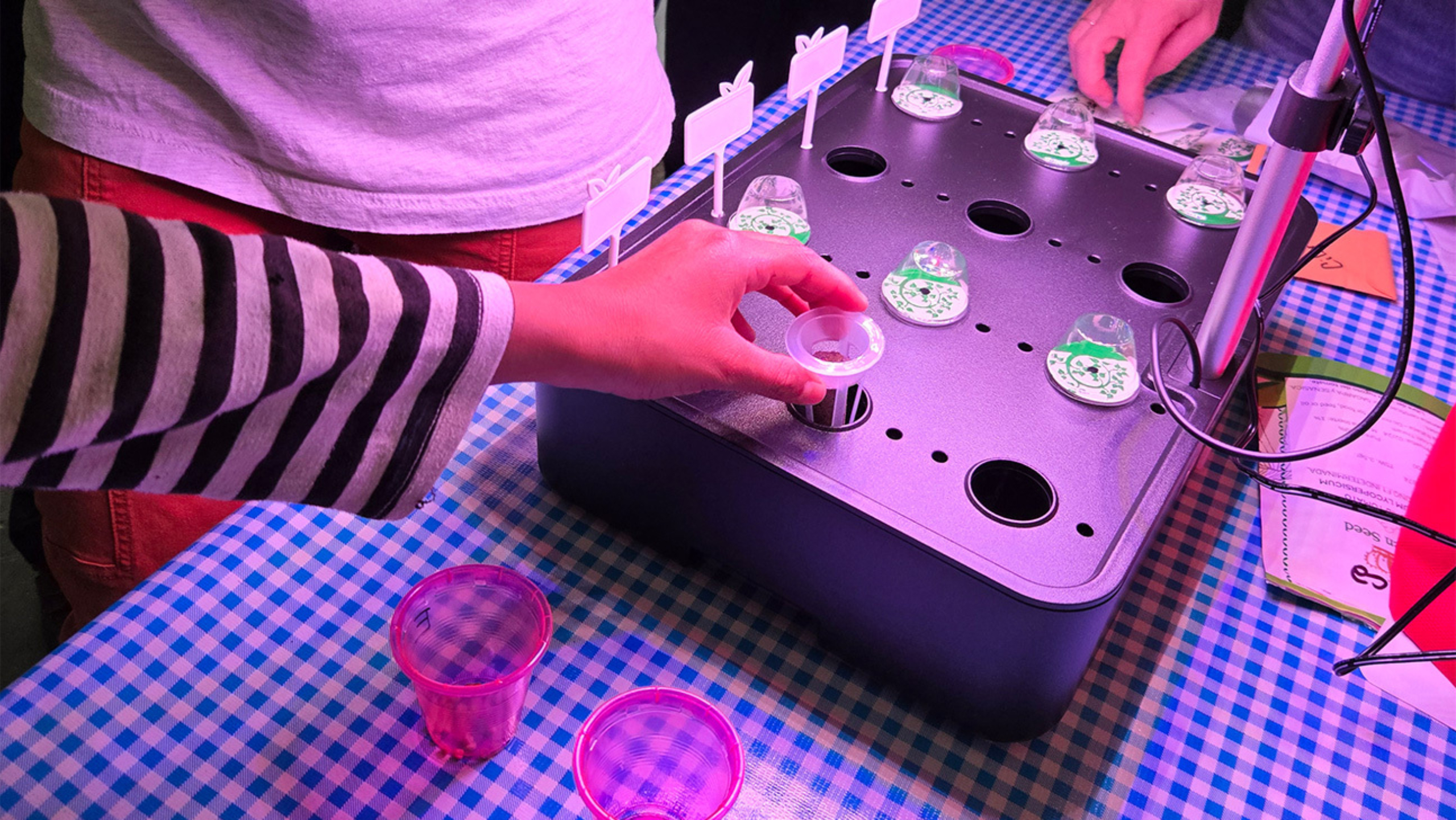 Students place plant seeds in a hydroponics tray.