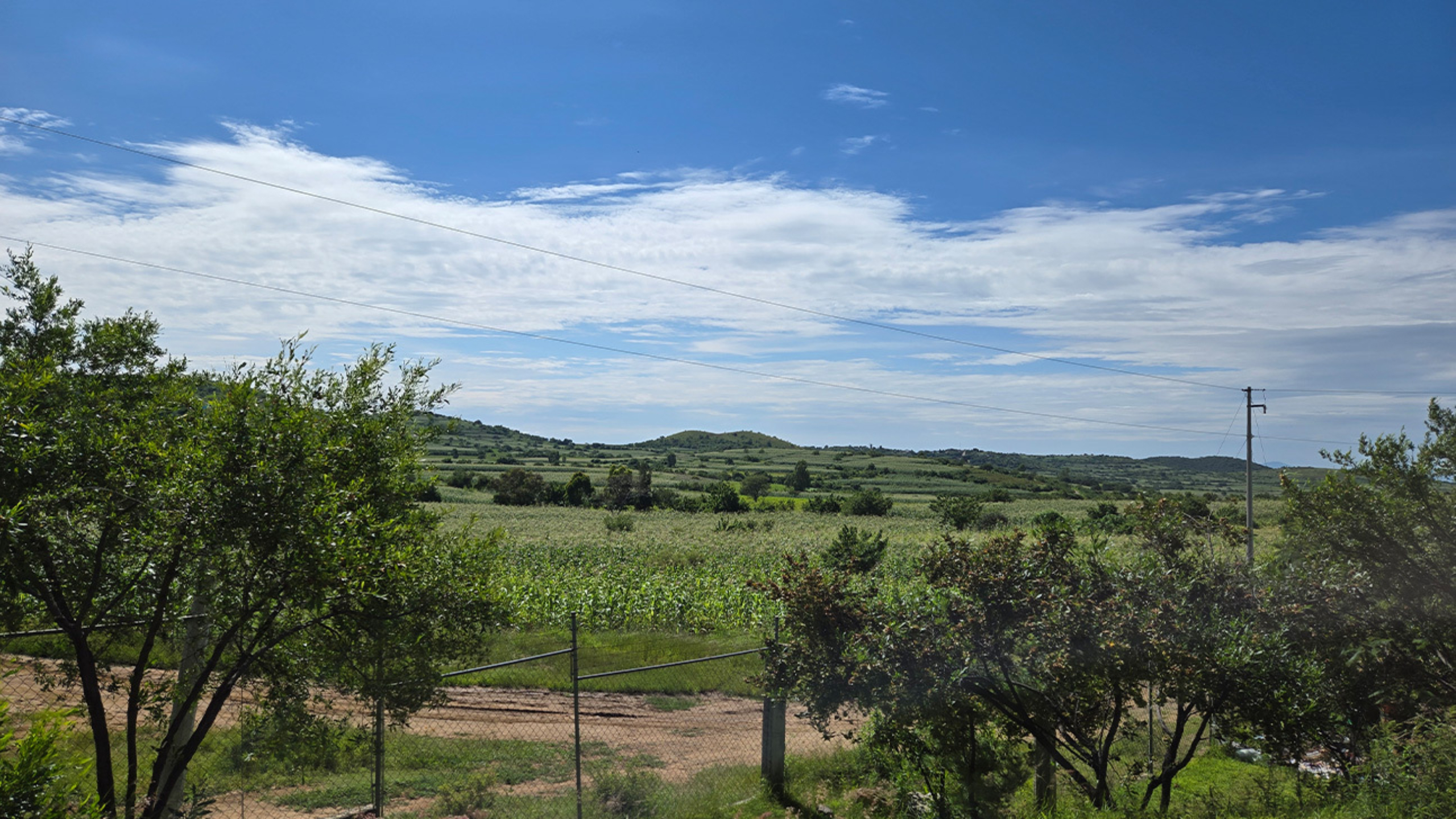 An open grass field with small trees, part of the landscape for a rural community in Mexico.