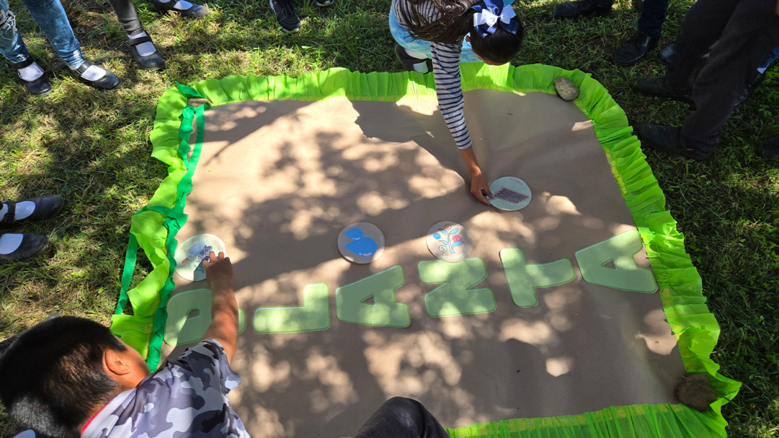 Two people partake in a plant and gardening activity.