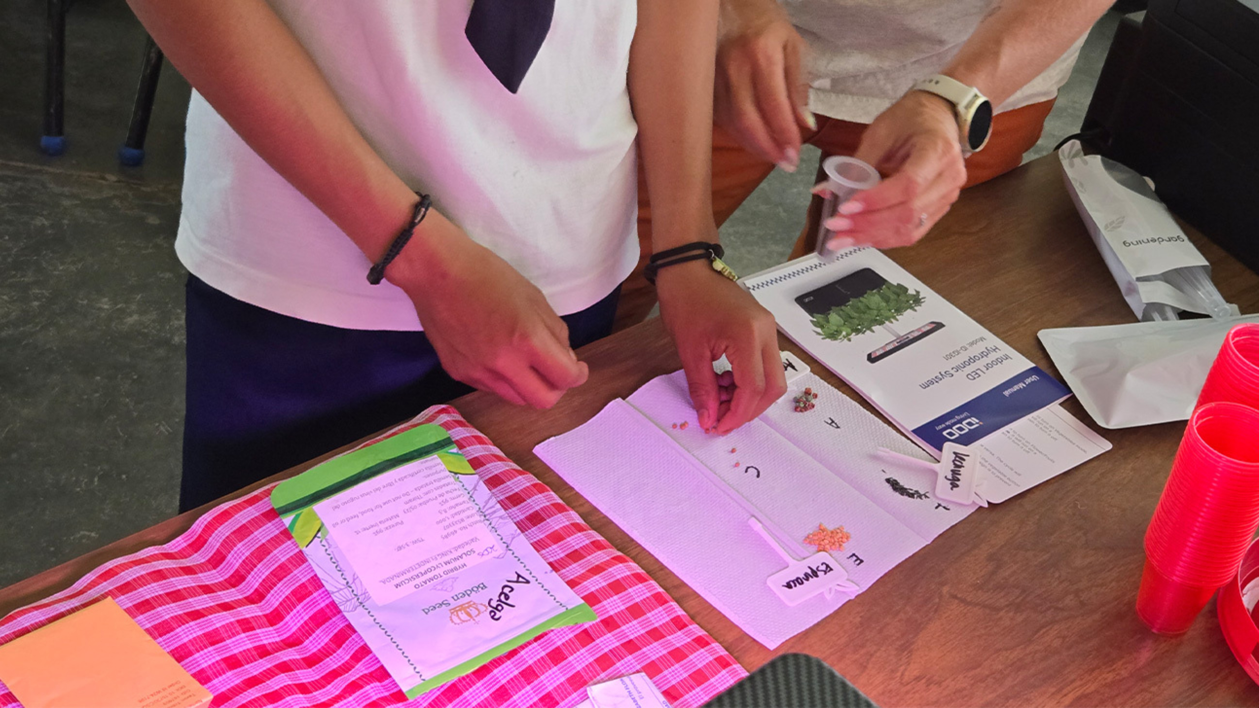 Students participate in an activity that identifies different seed types.