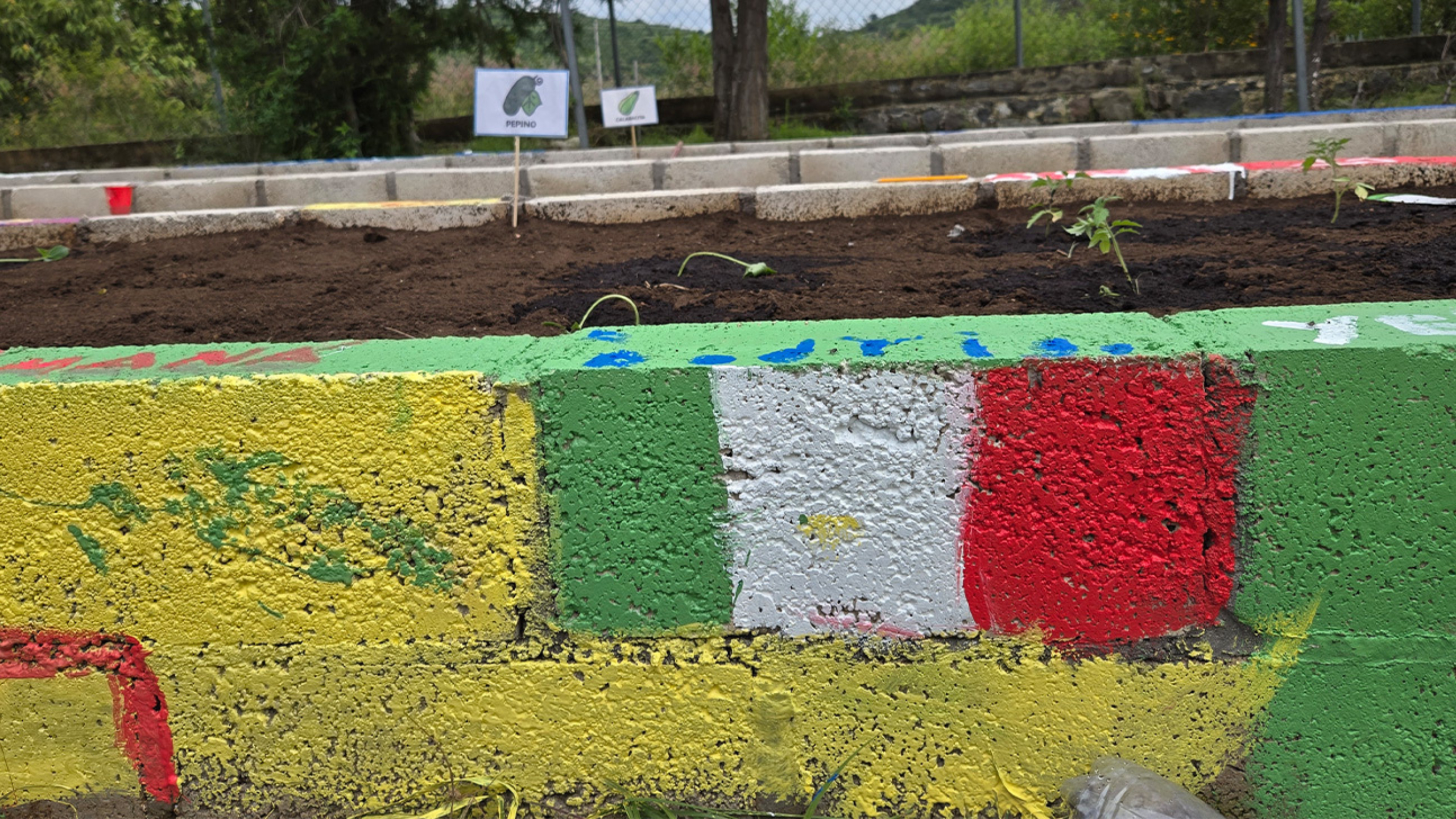 The flag of Mexico painted on the stone border of a garden.