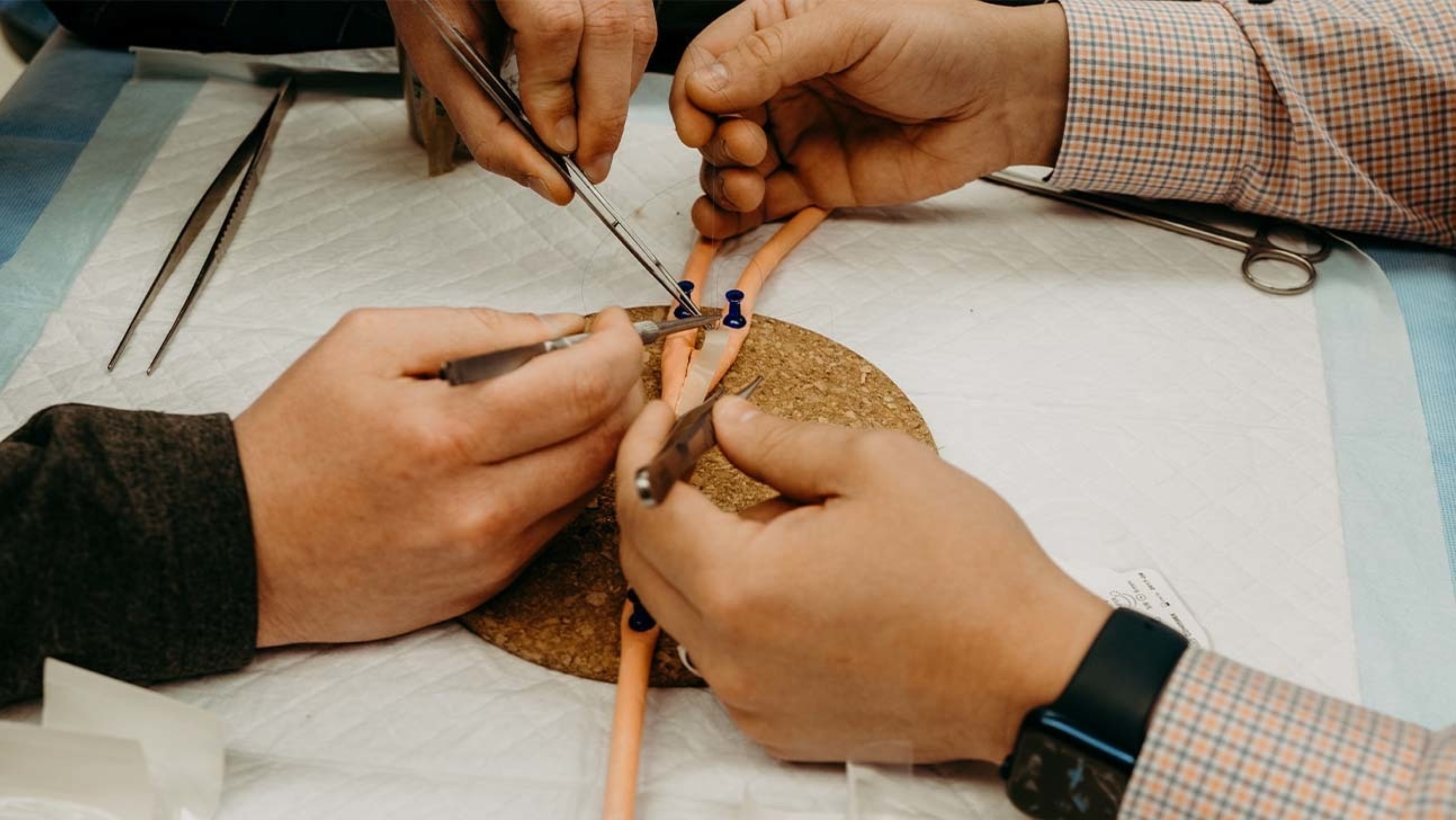 A close up two pairs of hands using surgical tools on a small educational model relating to surgery.